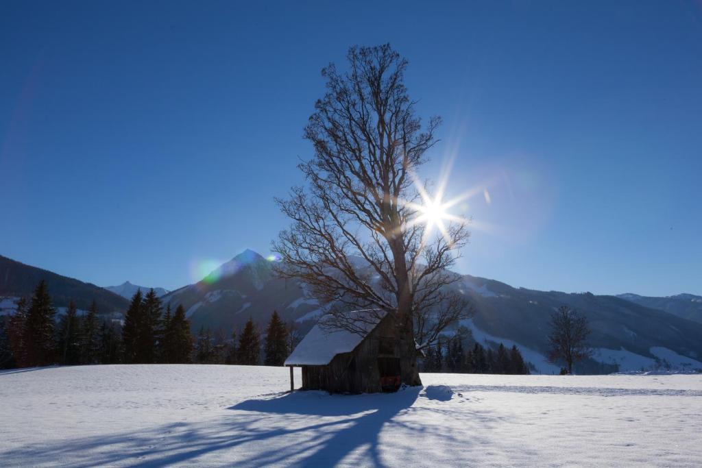 Appartements Hochegg Schladming Kültér fotó